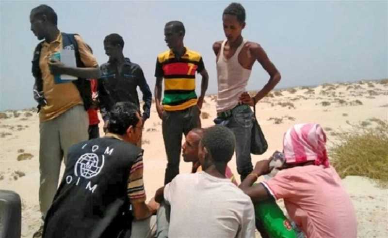 الأمم المتحدة: وصول 67 ألف مهاجر إفريقي إلى اليمن في العام الجاري