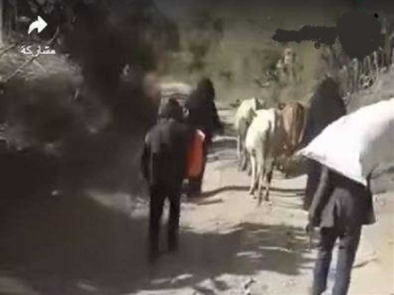 "إب" من مأوى للنازحين إلى مدينة طاردة للسكان.. كيف ساهم الحوثيون في ذلك؟ (تقرير خاص)