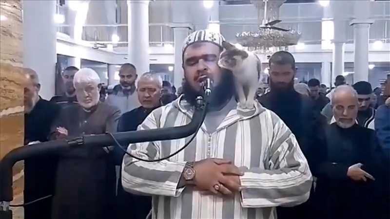 عفوية إمام جزائري وقطة تداعبه تبلغ العالمية وتغزو شبكات التواصل 