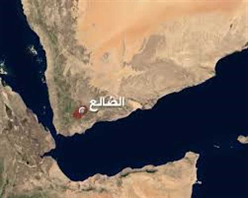مقتل مواطن من أبناء إب في مديرية الحصين بالضالع