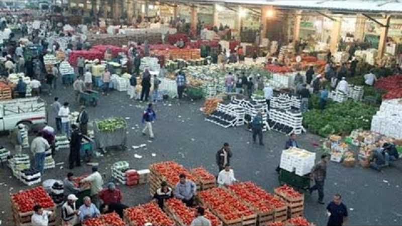مليشيا الحوثي تعاود مساعيها للسطو على استثمارات وأراضي نادي شعب إب الرياضي
