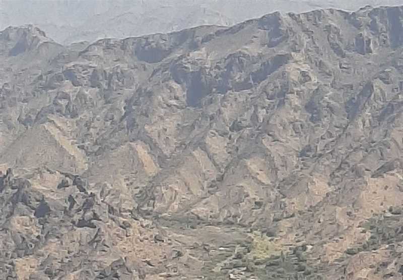 الحديدة..المقاومة التهامية تحبط هجوماً حوثياً شمالي حيس