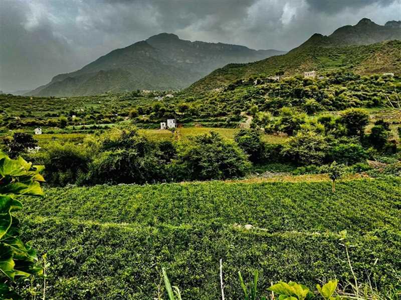 قُرى وادي الجنات في إب: الموت ممكن بسبب لدغة ثعبان